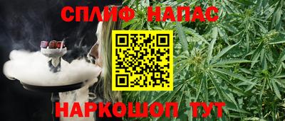 прущие грибы Комсомольск-на-Амуре