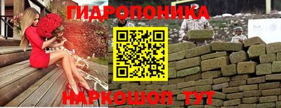 прущие грибы Комсомольск-на-Амуре