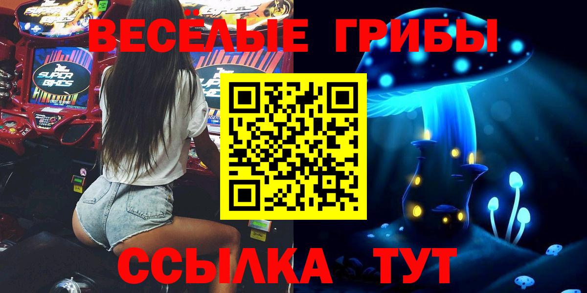 где купить наркоту  Галлюциногенные грибы ЛСД  Псилоцибиновые грибы прущие грибы  Вход с VPN  Заволжье 